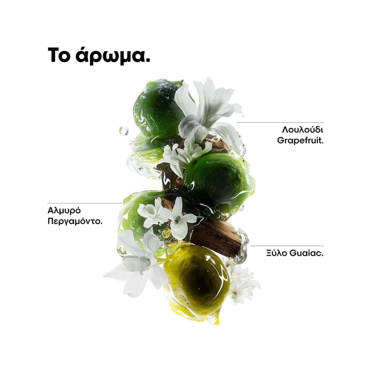 L'Oreal Professionnel Serie Expert Metal Detox Μάσκα Κατά των Μεταλλικών Στοιχείων 500ml