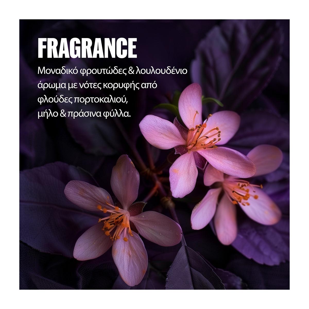 Wella Professionals Ultimate Color Σαμπουάν για Βαμμένα Μαλλιά 250ml 7