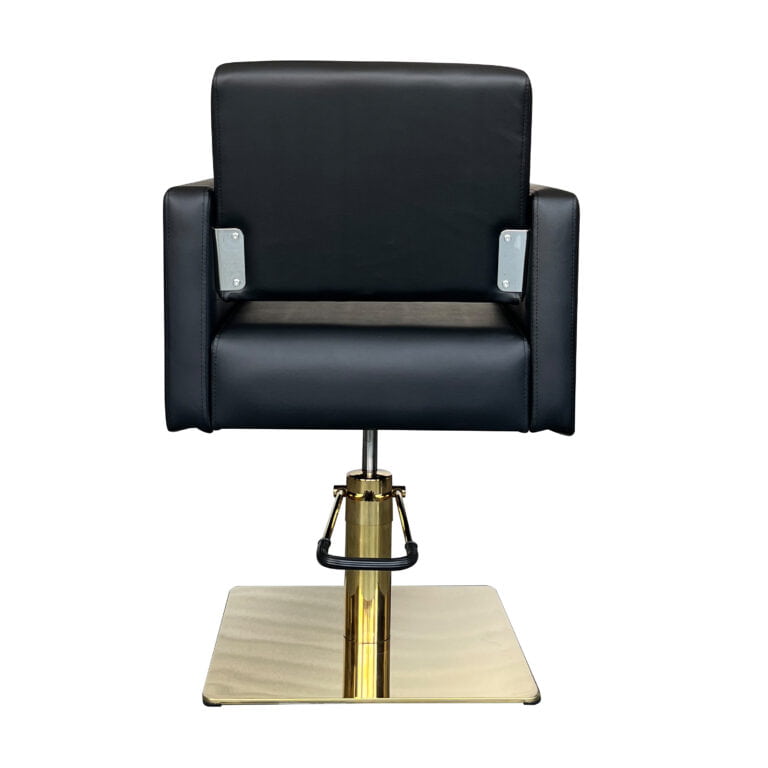Salon Pro Economy Styling Chair Dalia Black Gold 6205 by GL 5
