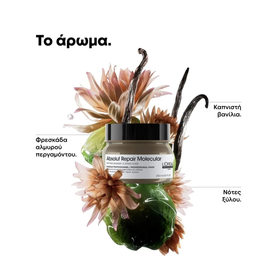 L'Oreal Professionnel Absolut Repair Molecular Μάσκα μοριακής επανόρθωσης για ταλαιπωρημένα μαλλιά 250ml