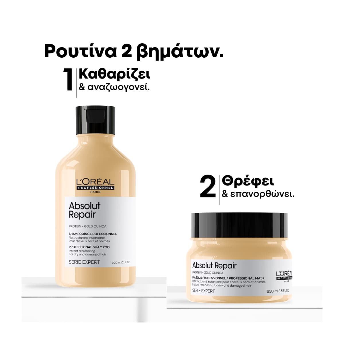 L'Oreal Professionnel Serie Expert Limited Edition Absolut Repair Duo Set για Επανόρθωση και Αναδόμηση στα Ταλαιπωρημένα Μαλλιά (Σαμπουάν 300ml,Μάσκα 250ml)